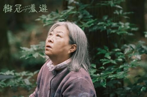树冠羞避