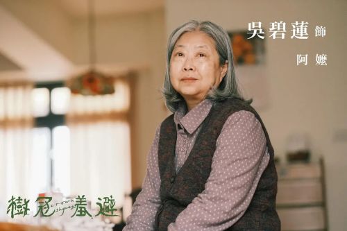树冠羞避