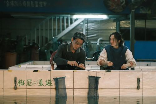 树冠羞避
