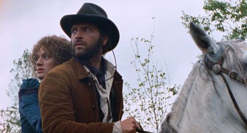 正面还是反面？