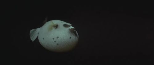 亚特兰蒂斯