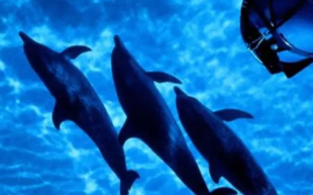 《亚特兰蒂斯》