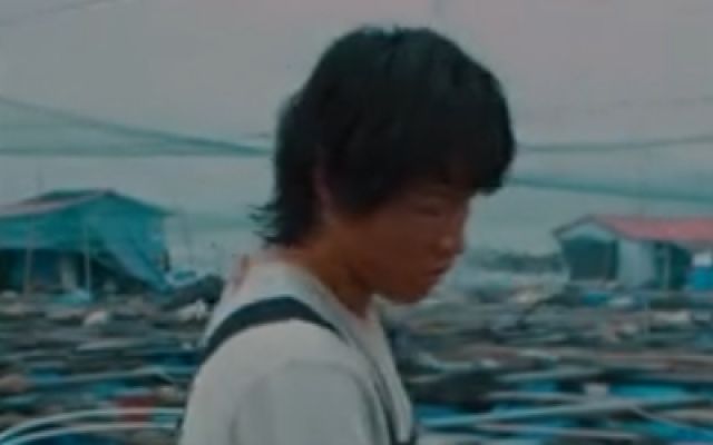 《下一个台风》高清