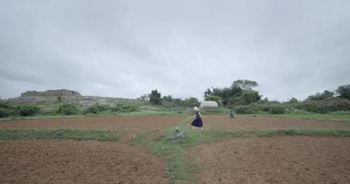 异羽之鸟