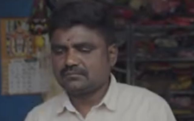 《异羽之鸟》高清