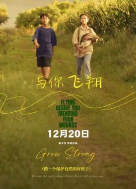 与你飞翔