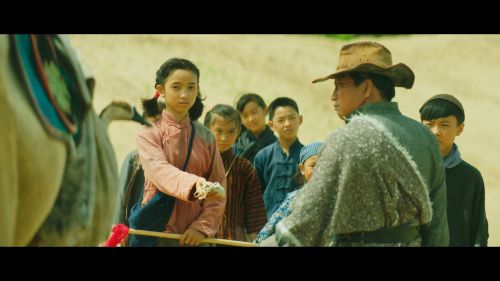 与你飞翔
