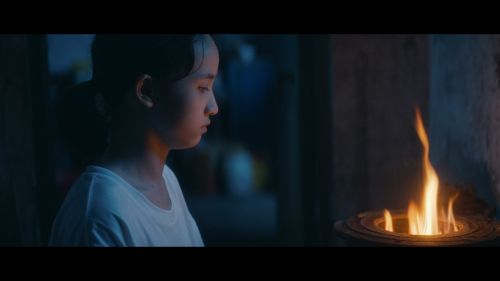 与你飞翔
