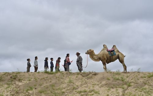 与你飞翔
