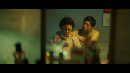 与你飞翔