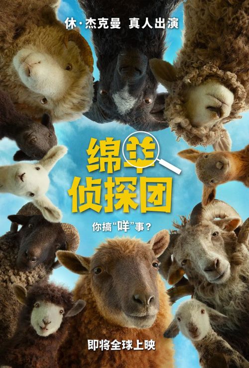 绵羊侦探团