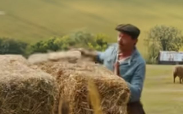 《绵羊侦探团》首曝预告