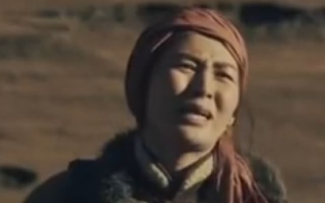 《风雪飘摇》定档预告