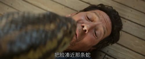 新狂蟒之灾