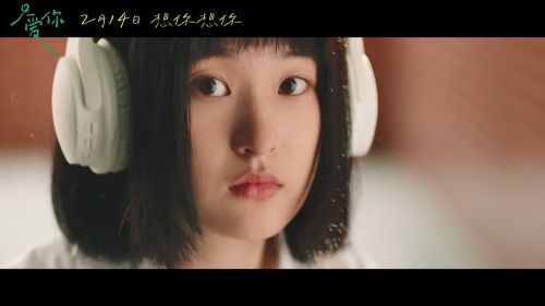 只爱你