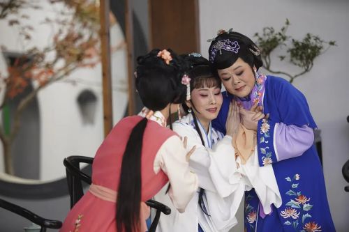 双蝶扇