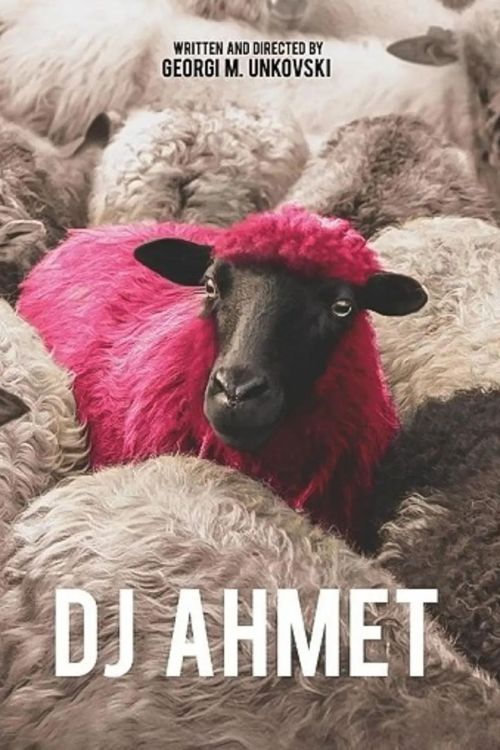 羊背上的DJ
