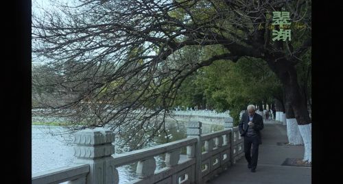 翠湖