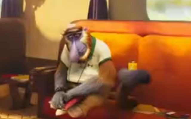 《奇迹梦之队》定档预告