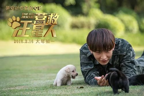营救汪星人