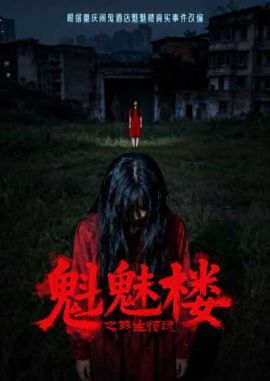 魁魅楼之双生惊魂