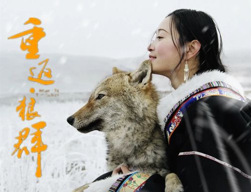 重返·狼群