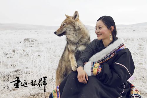 重返·狼群