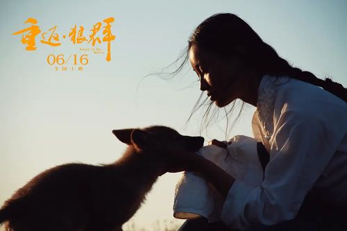 重返·狼群