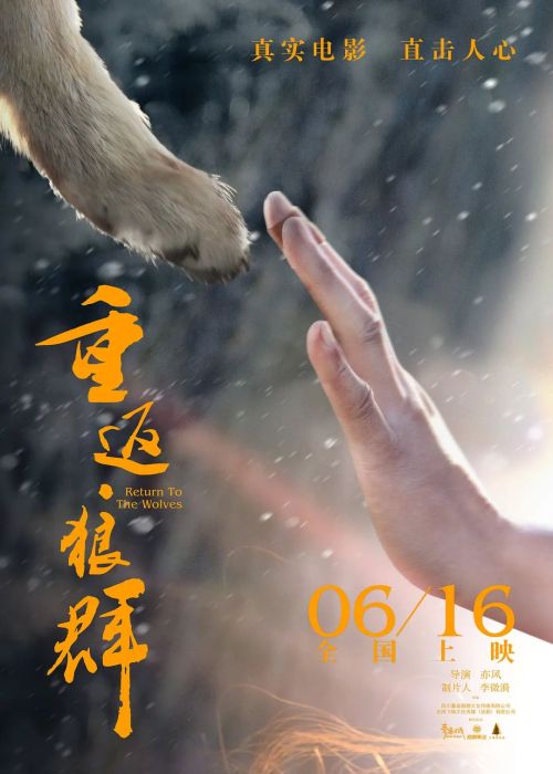 重返·狼群