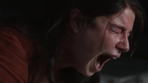 哈姆奈特