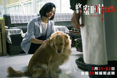 蜂蜜的针