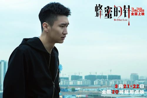 蜂蜜的针