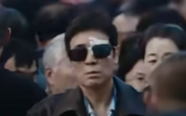《森中有林》定档预告