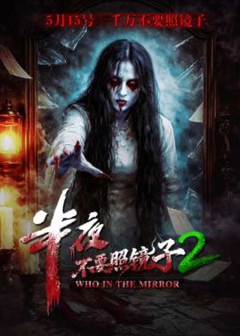 半夜不要照镜子2