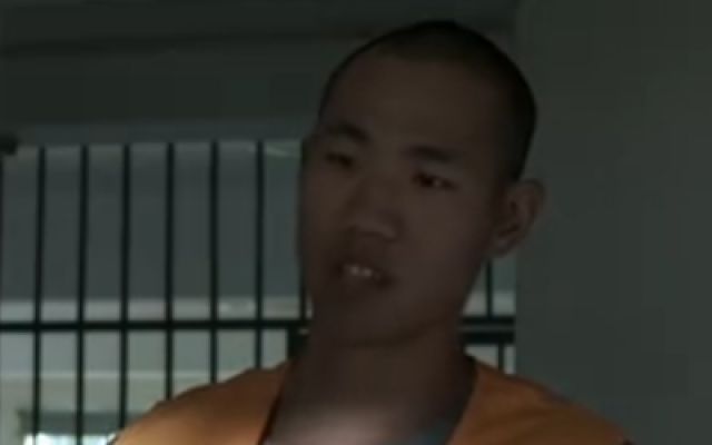 《毒蜂》高清
