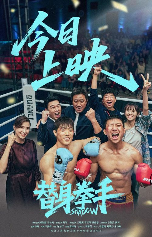 替身拳手