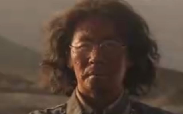 《万桐书》预告