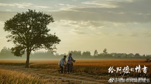 给阿嬷的情书