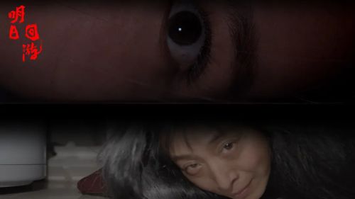 明日回游