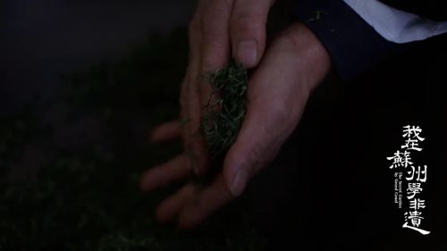 我在苏州学非遗