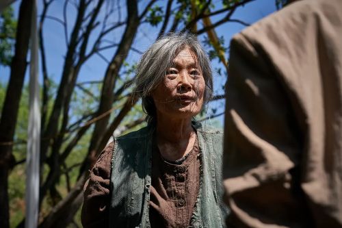 杀木地