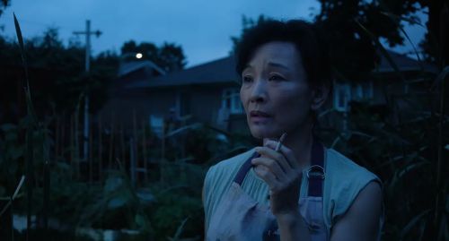 蒙特利尔，我的美人