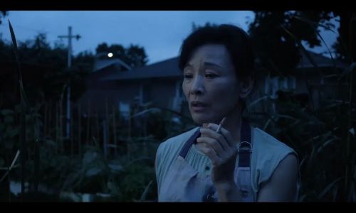 蒙特利尔，我的美人