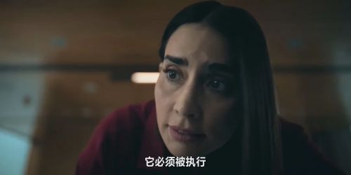 复仇双雄