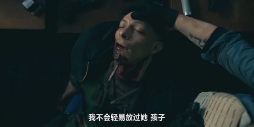 复仇双雄