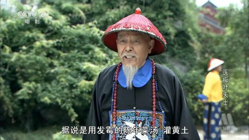 医痴叶天士
