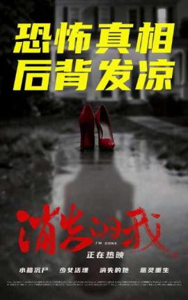 消失的我 消失的我