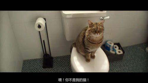 女士优先