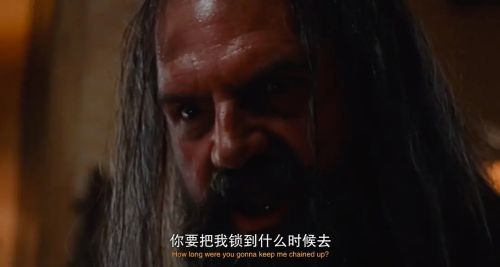 多莉