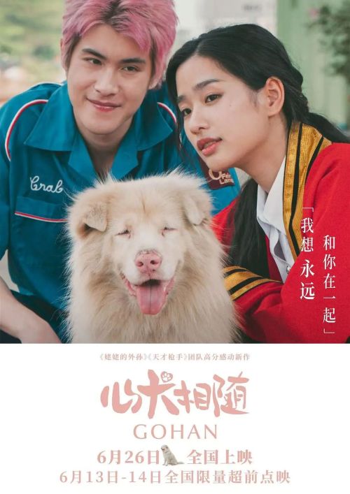 心犬相随